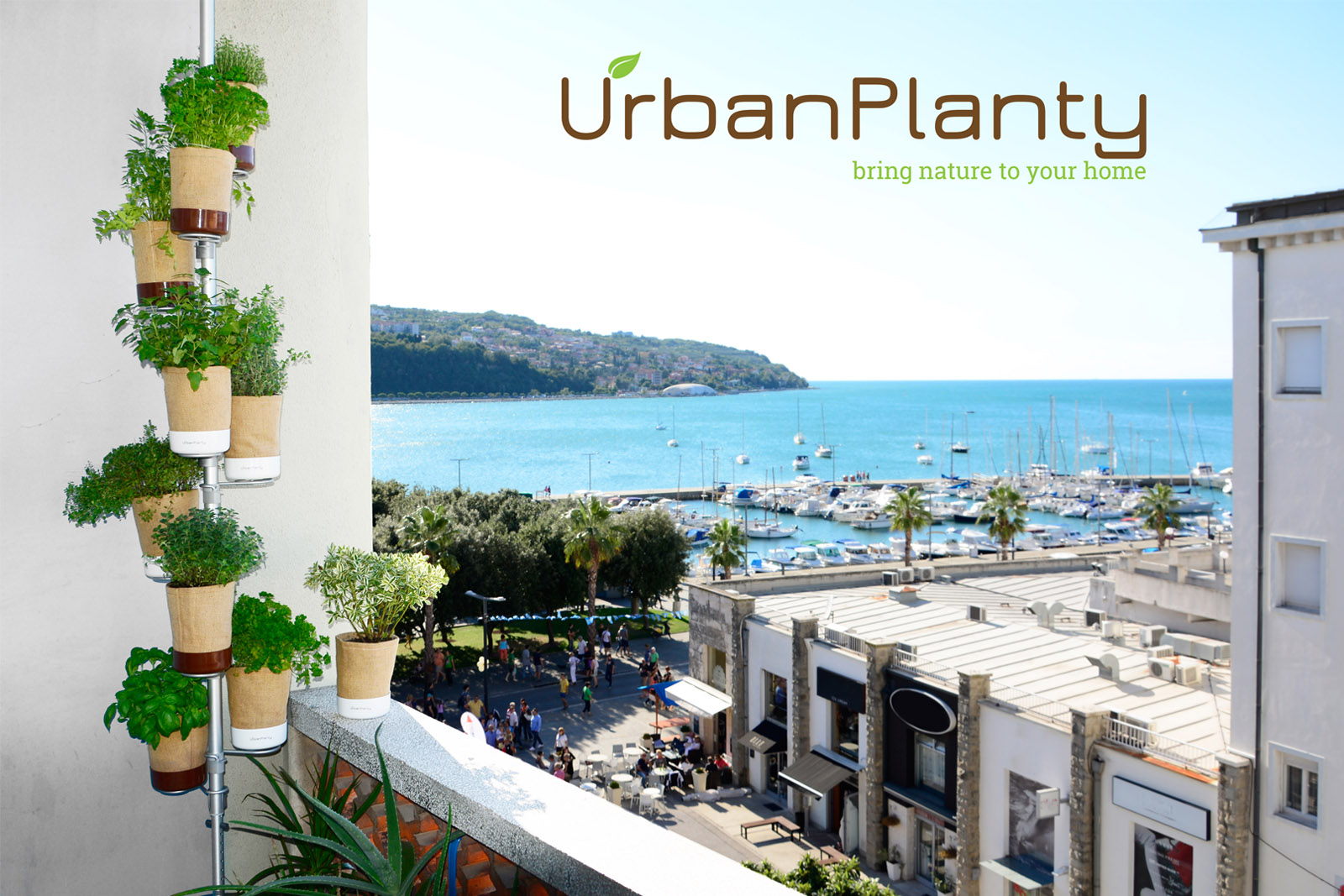 urban planty